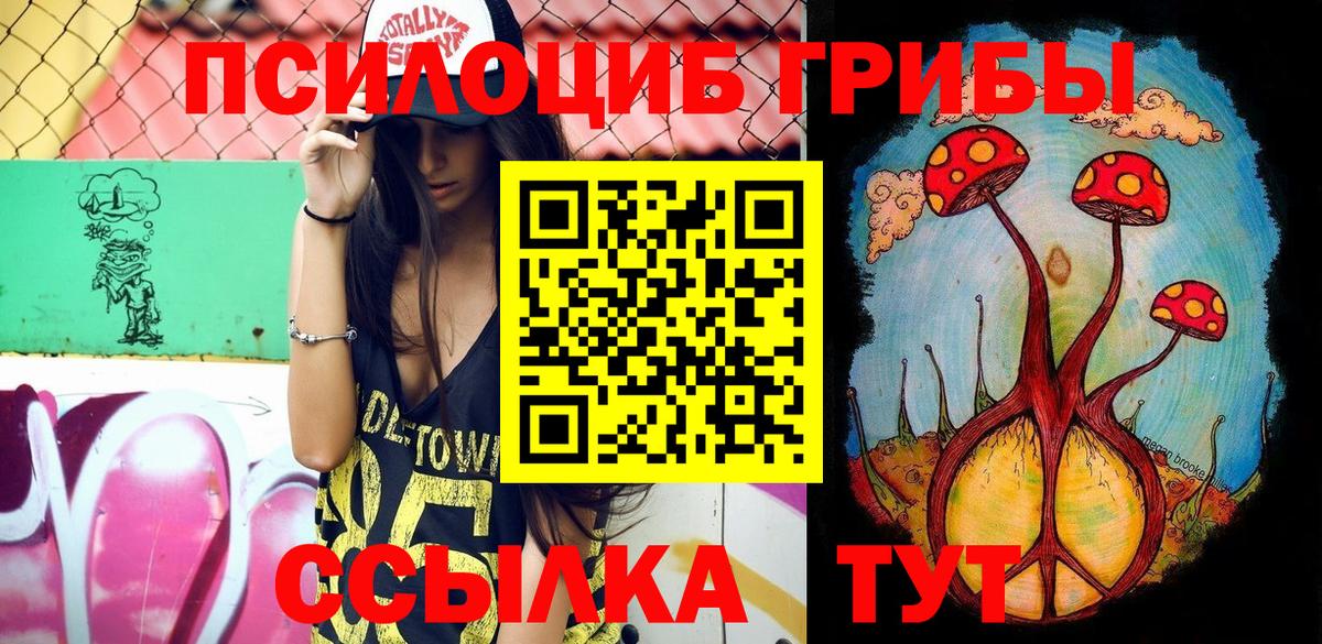 Сердобск  Галлюциногенные грибы Cubensis  Вход с VPN  Псилоцибиновые грибы Cubensis 