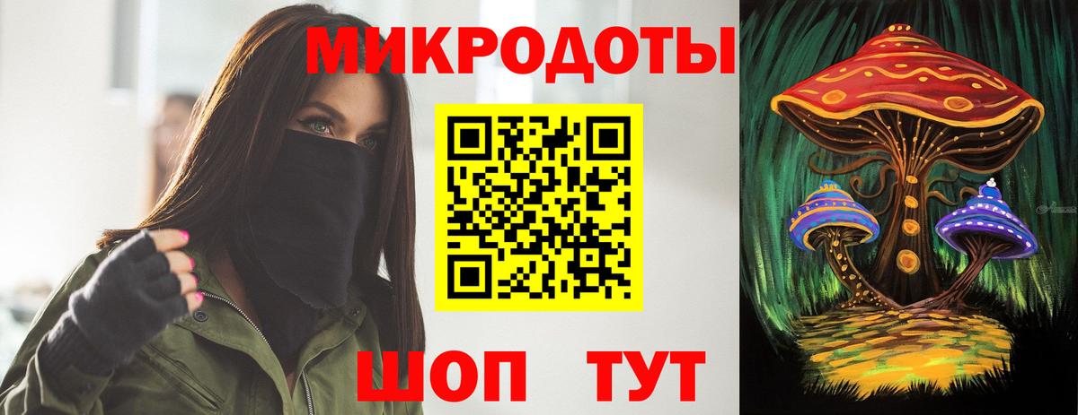 Псилоцибиновые грибы Psilocybe Сердобск